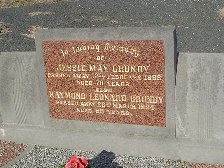 Full-size image
