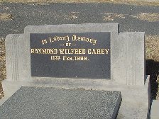 Full-size image