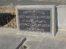 Full-size image