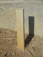 Full-size image