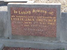 Full-size image