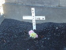 Full-size image