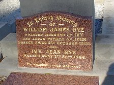 Full-size image