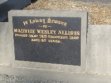 Full-size image
