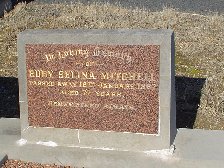 Full-size image