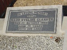 Full-size image