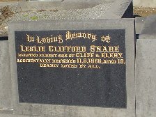 Full-size image