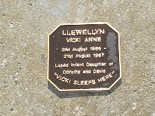 Full-size image