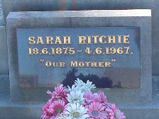 Full-size image