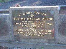Full-size image