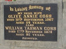 Full-size image