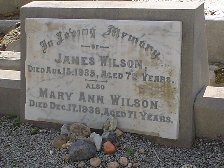 Full-size image