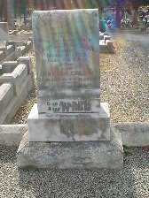 Full-size image