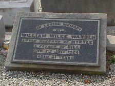 Full-size image