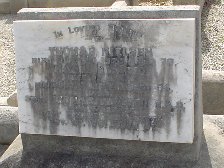 Full-size image