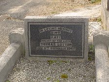 Full-size image
