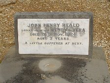 Full-size image