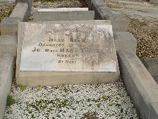 Full-size image