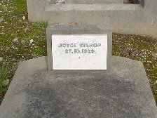 Full-size image