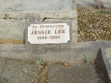 Full-size image