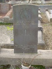 Full-size image