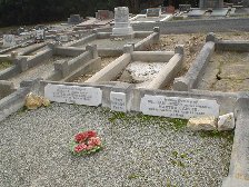 Full-size image