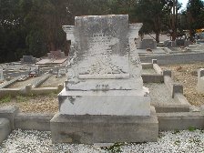 Full-size image