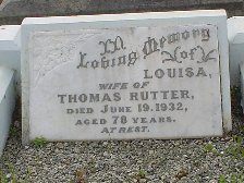 Full-size image