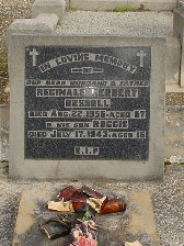 Full-size image