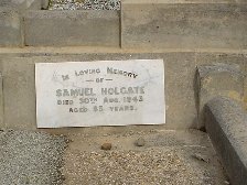 Full-size image