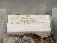 Full-size image