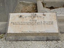 Full-size image