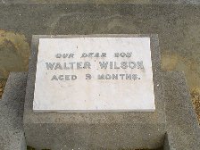 Full-size image
