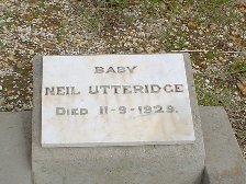 Full-size image