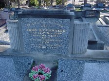 Full-size image