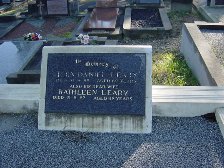 Full-size image