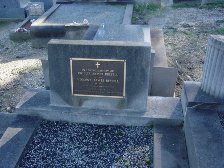 Full-size image