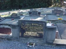 Full-size image