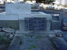 Full-size image
