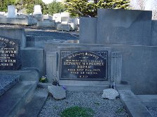 Full-size image