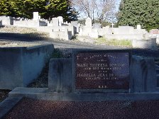 Full-size image