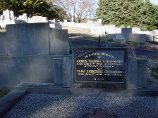 Full-size image