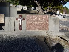 Full-size image