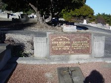 Full-size image