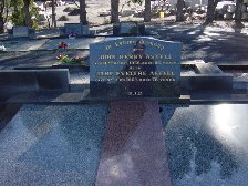 Full-size image