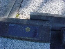 Full-size image