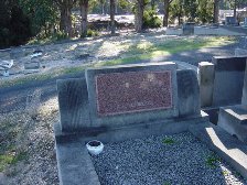 Full-size image