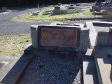 Full-size image