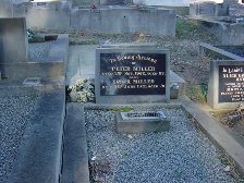 Full-size image