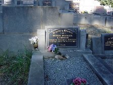 Full-size image